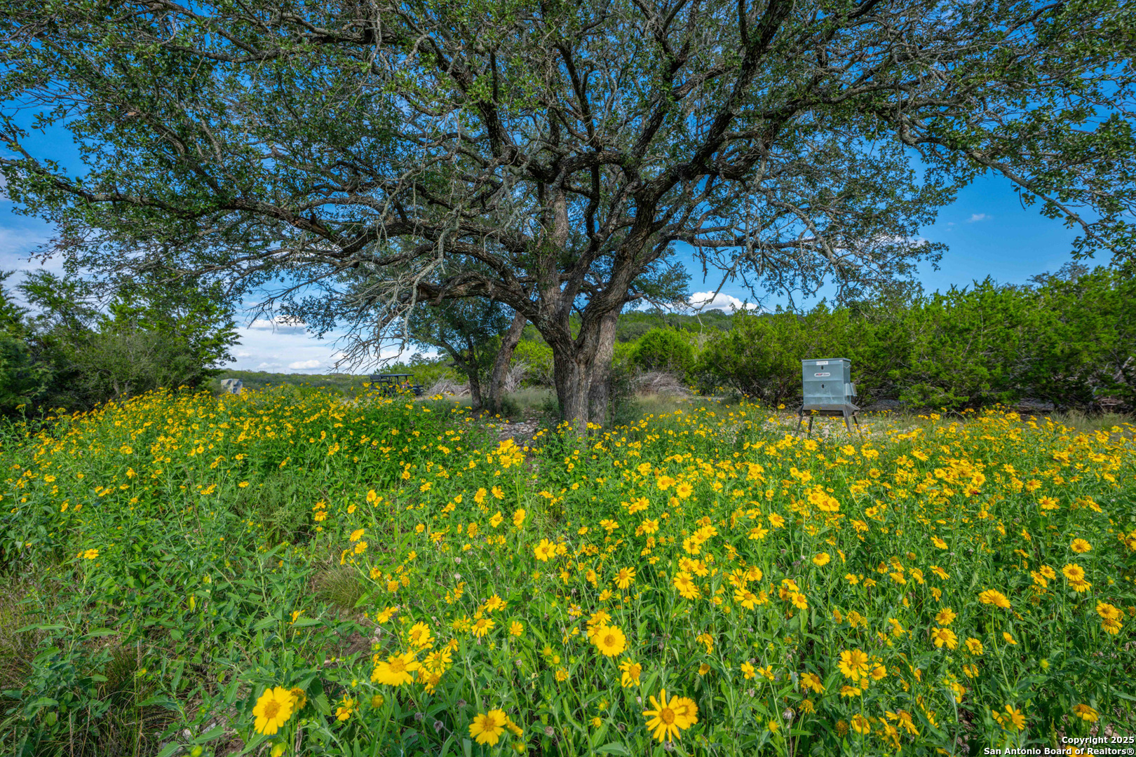 Tbd Fm 2169 Junction, TX 76849 - Photo 84 of 89 a backyard of a house with lots of green space
