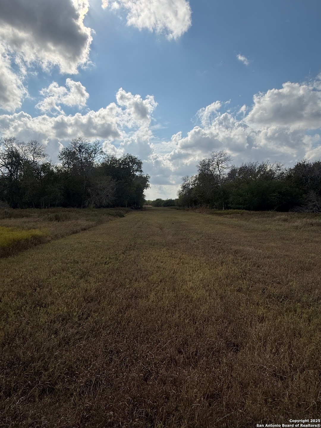 0 Simpson Ranch Road Nordheim, TX 78151 - Photo 11 of 22 a view of outdoor space and yard