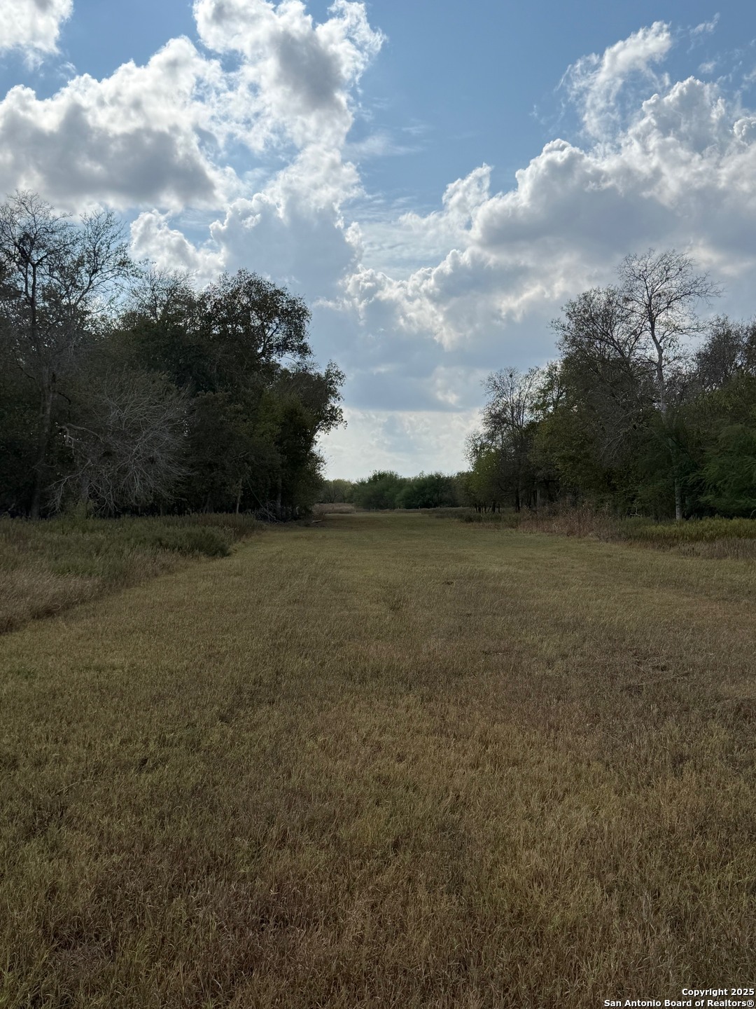 0 Simpson Ranch Road Nordheim, TX 78151 - Photo 12 of 22 a view of a field with next to a yard