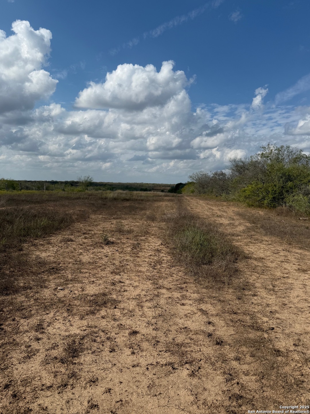 0 Simpson Ranch Road Nordheim, TX 78151 - Photo 13 of 22 a view of an ocean