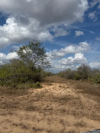 a view of a field with an ocean