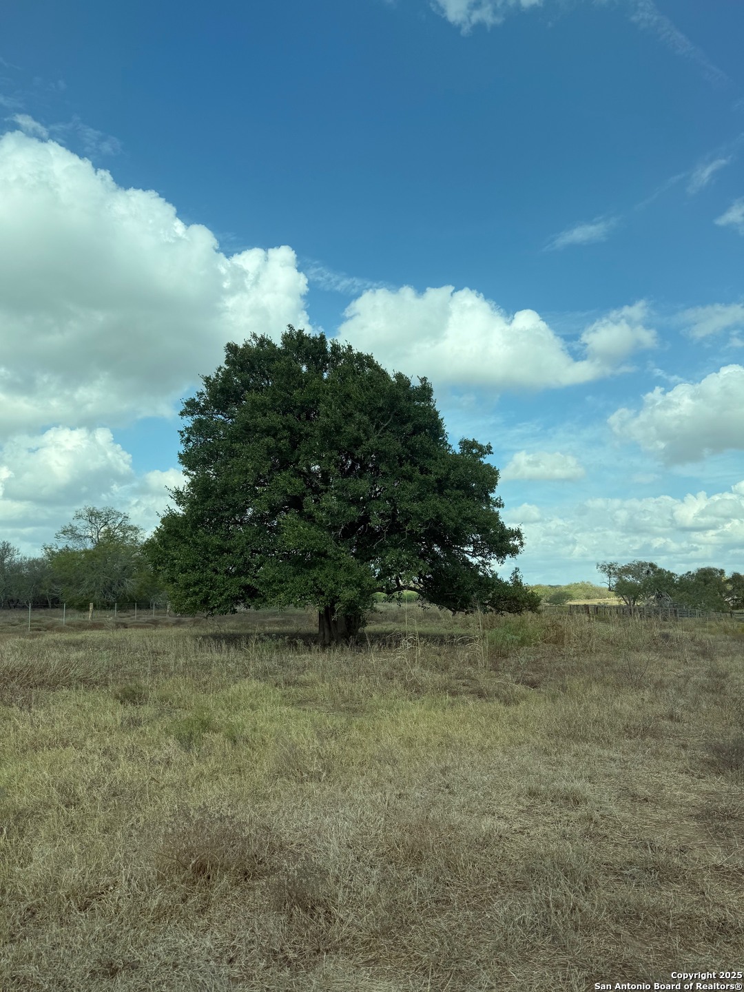 0 Simpson Ranch Road Nordheim, TX 78151 - Photo 15 of 22 a view of a field with an ocean