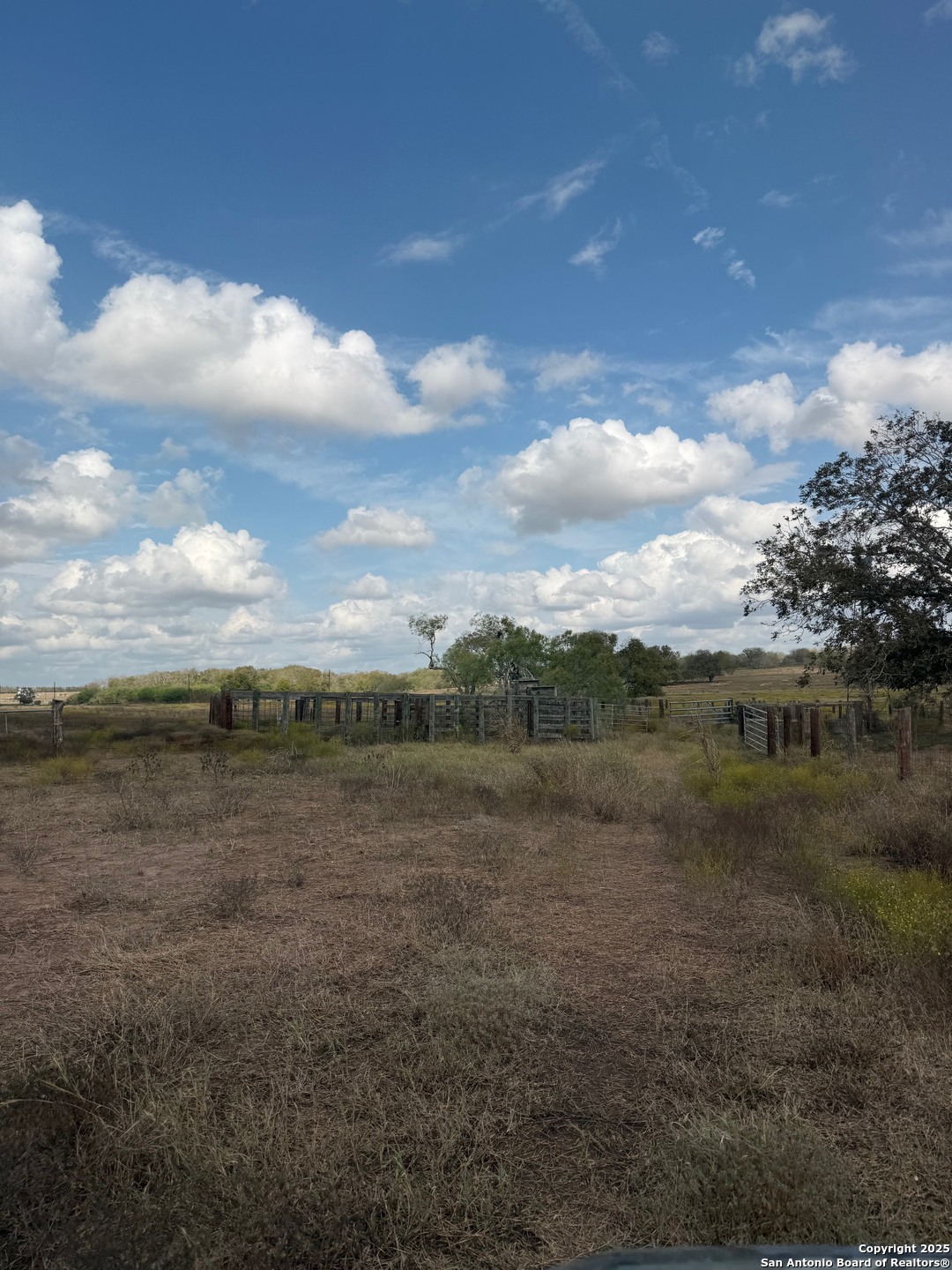 0 Simpson Ranch Road Nordheim, TX 78151 - Photo 16 of 22 a view of lake with mountain