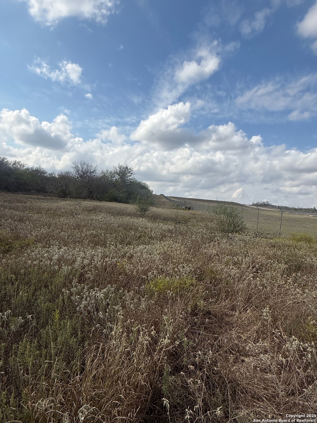 0 Simpson Ranch Road Nordheim, TX 78151 - Photo 4 of 22