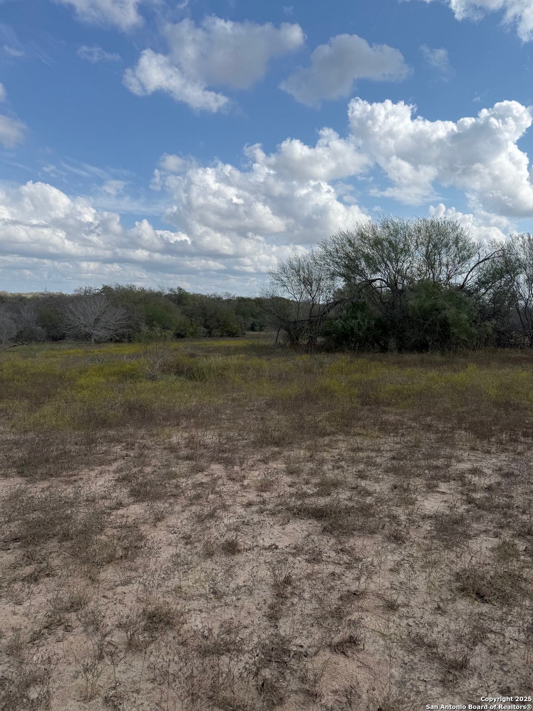 0 Simpson Ranch Road Nordheim, TX 78151 - Photo 5 of 22 a view of a lake with houses in the back
