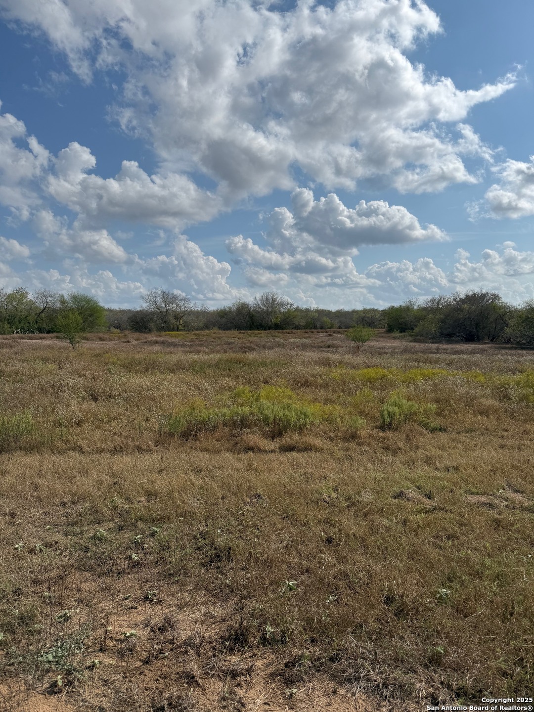 0 Simpson Ranch Road Nordheim, TX 78151 - Photo 6 of 22 a view of an ocean
