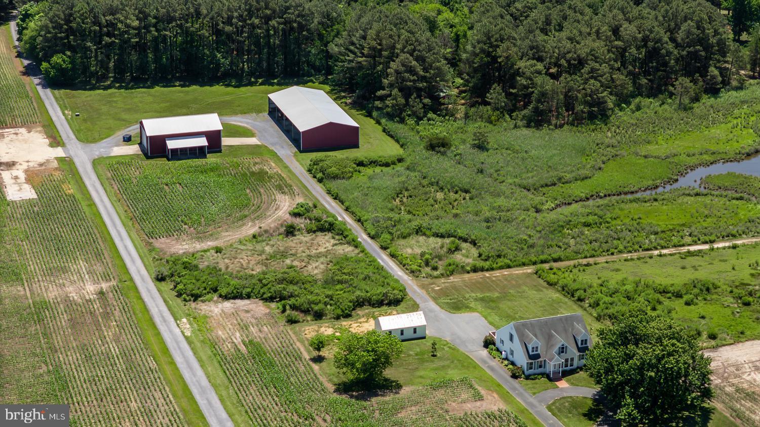 7543 Bozman Neavitt Road Bozman, MD 21612 - Photo 9 of 121