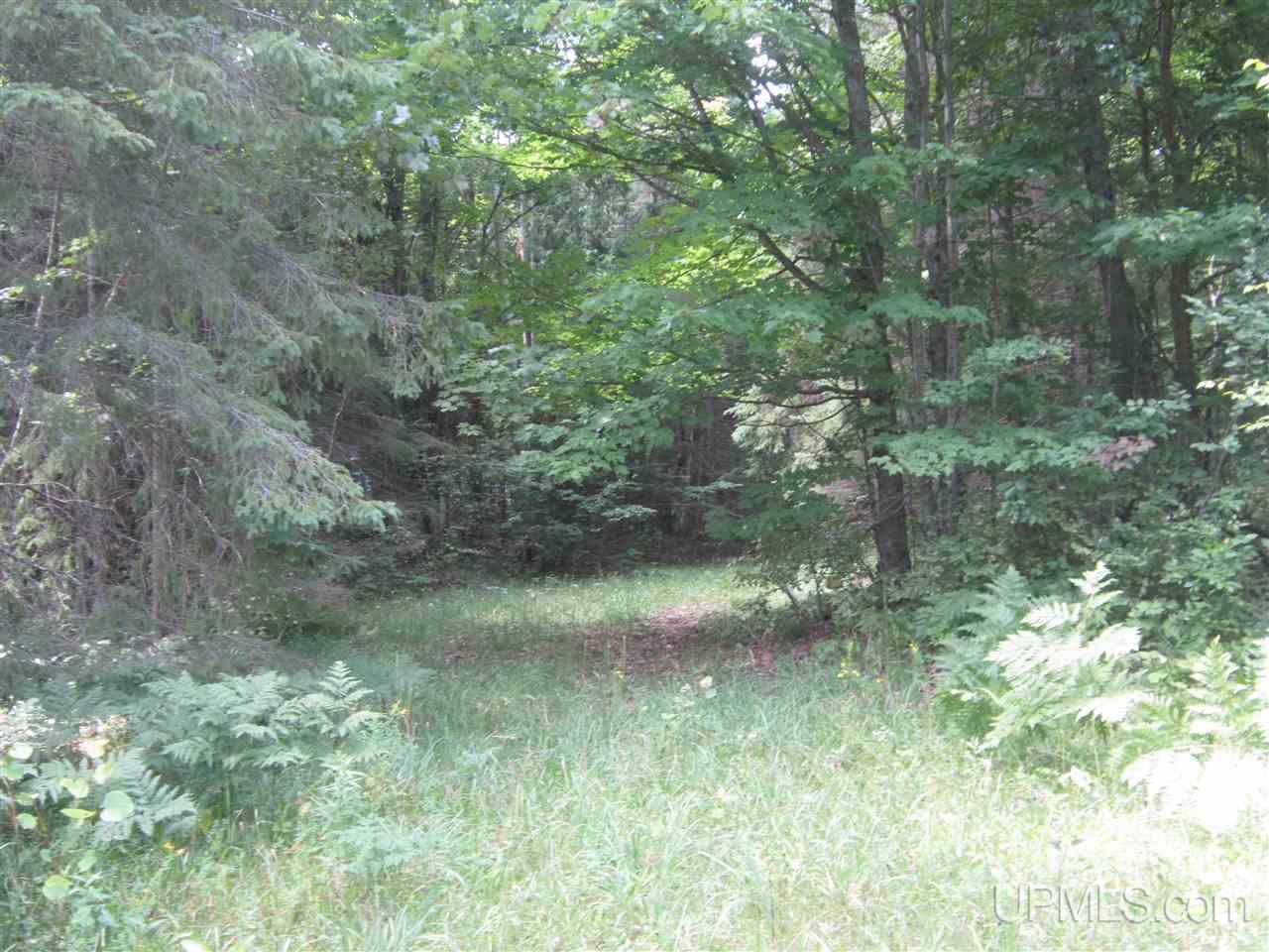 N4227 Et Road Eben Junction, MI 49816 - Photo 3 of 21