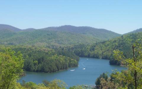 80 Necowa Cove Blue Ridge, GA 30513 - Photo 1 of 1 Main View