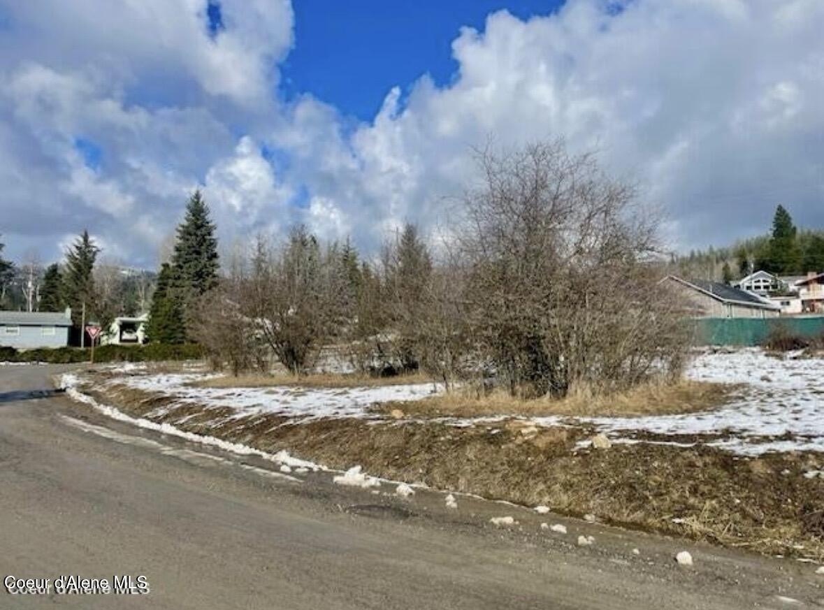 Lot 27 Rio Vista Terrace Osburn, ID 83849 - Photo 5 of 9 IMG_3392