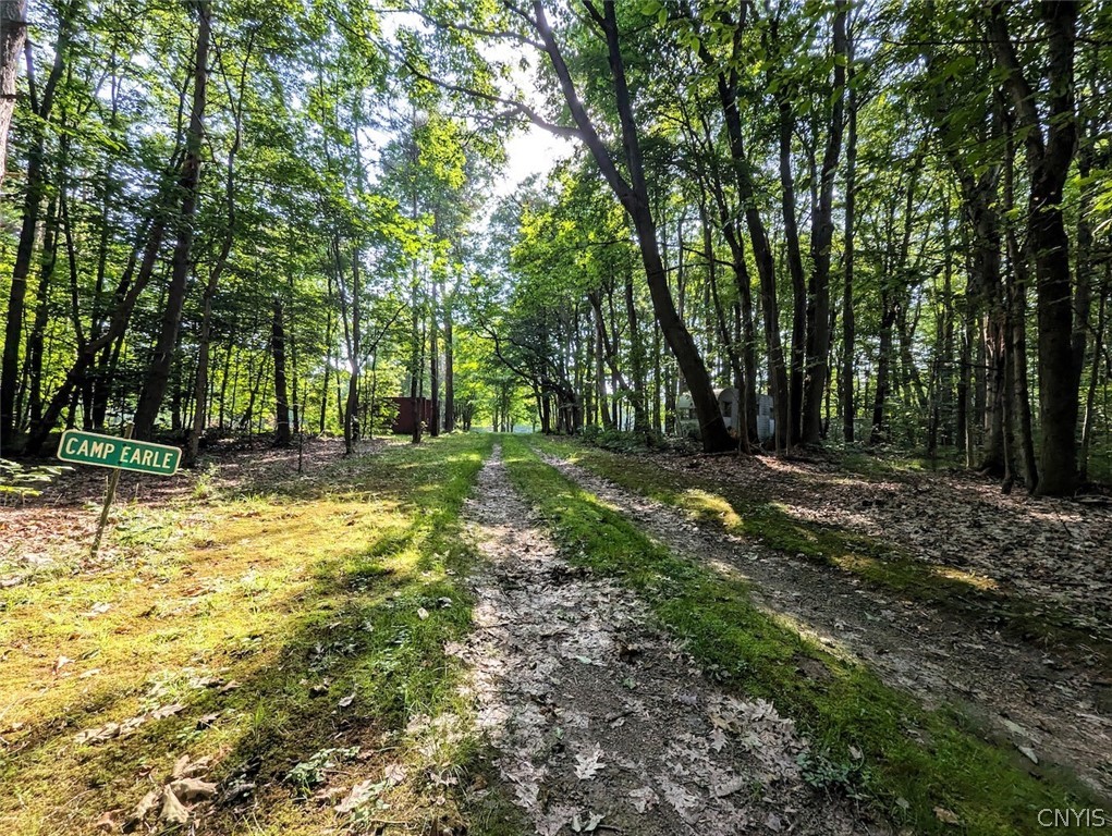 8880 Hemlock Road Wheeler, NY 14809 - Photo 39 of 50