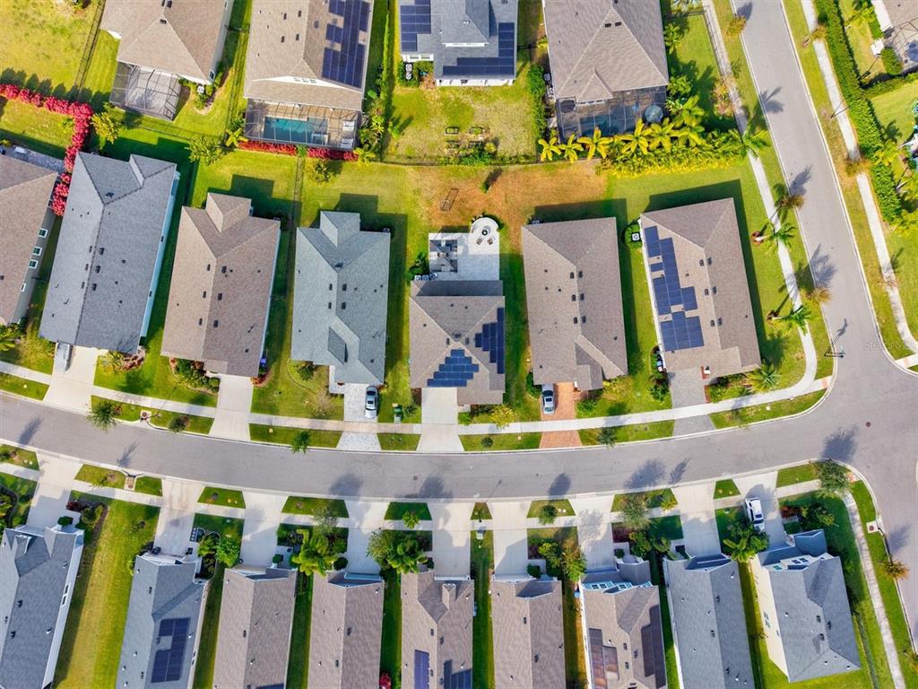 5709 Silver Sun Drive Apollo Beach, FL 33572 - Photo 63 of 100