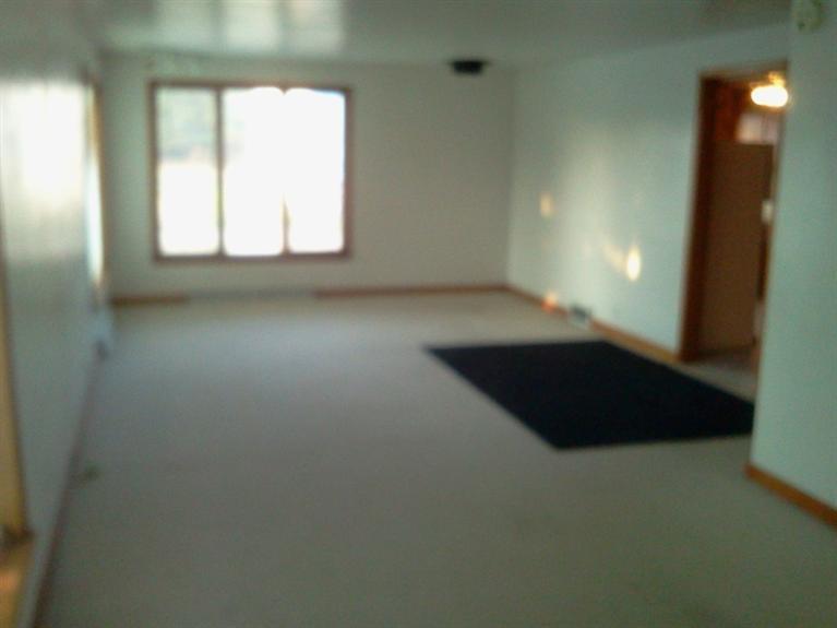 5742 North State Road Orleans, MI 48865 - Photo 9 of 22 Additional Photo