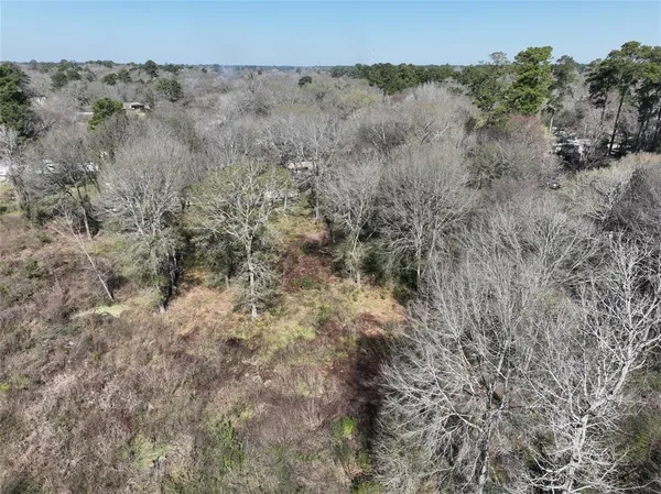 a view of a dry field with trees in the background