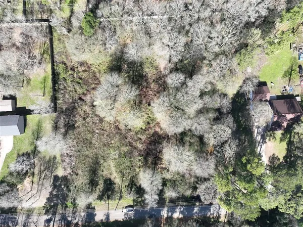 a view of a yard with plants and trees