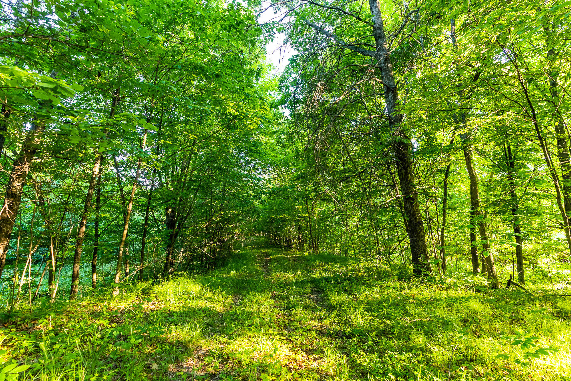 Lt0 Denzer Road North Freedom, WI 53951 - Photo 45 of 68 Sauk-County-WI-54-Acres-Land-For-Sale-45