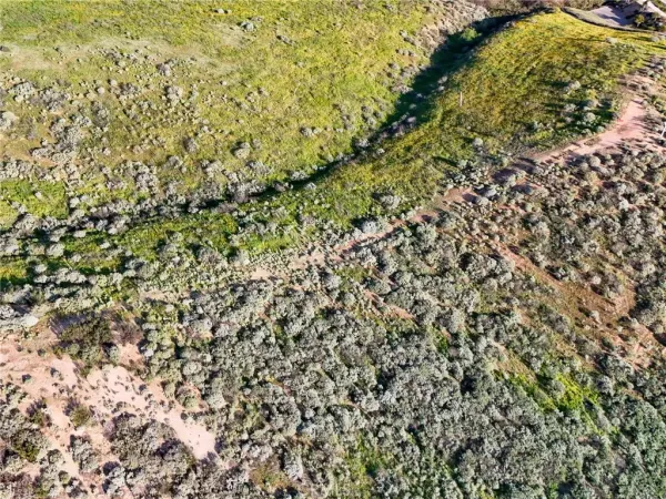 a view of a swimming pool from a lake