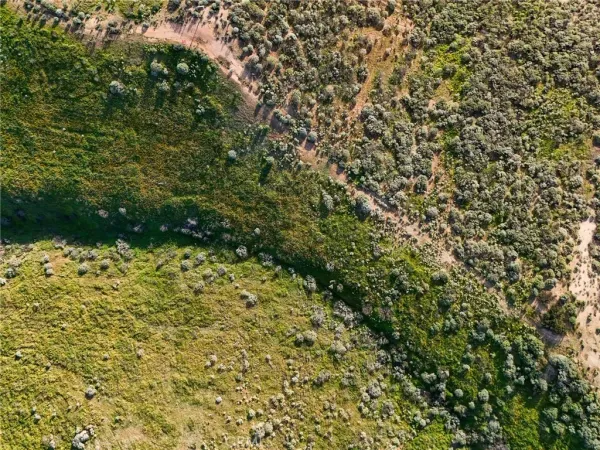 a view of a yard of a building