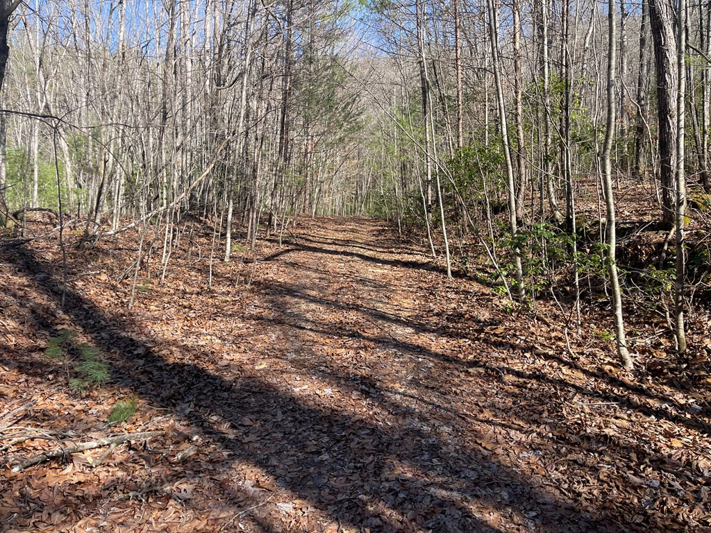 0 Maple Ridge Lane Brasstown, NC 28902 - Photo 5 of 8