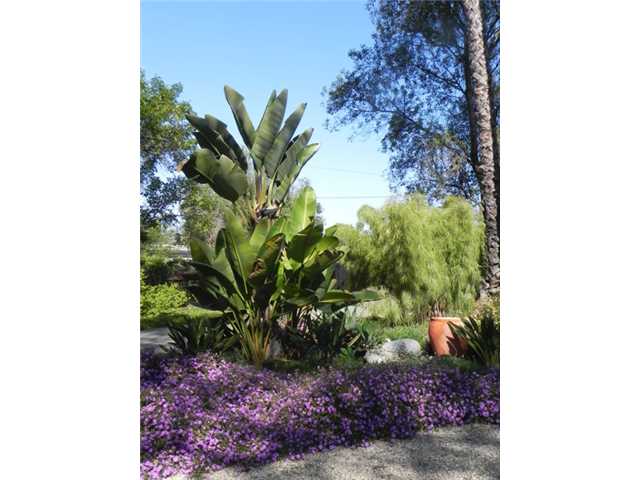 1060 Capra Way Fallbrook, CA 92028 - Photo 17 of 25 Gallery Image 17