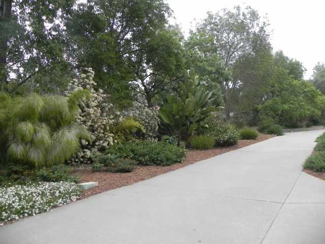 1060 Capra Way Fallbrook, CA 92028 - Photo 22 of 25 Along driveway