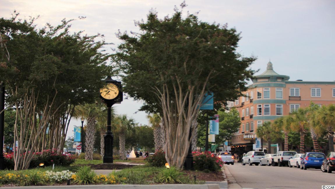 2986 Skylar Drive Myrtle Beach, SC 29577 - Photo 39 of 40