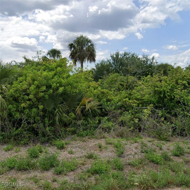 341 Patio Street Lehigh Acres, FL 33974 - Photo 1 of 1 Gallery Image 1