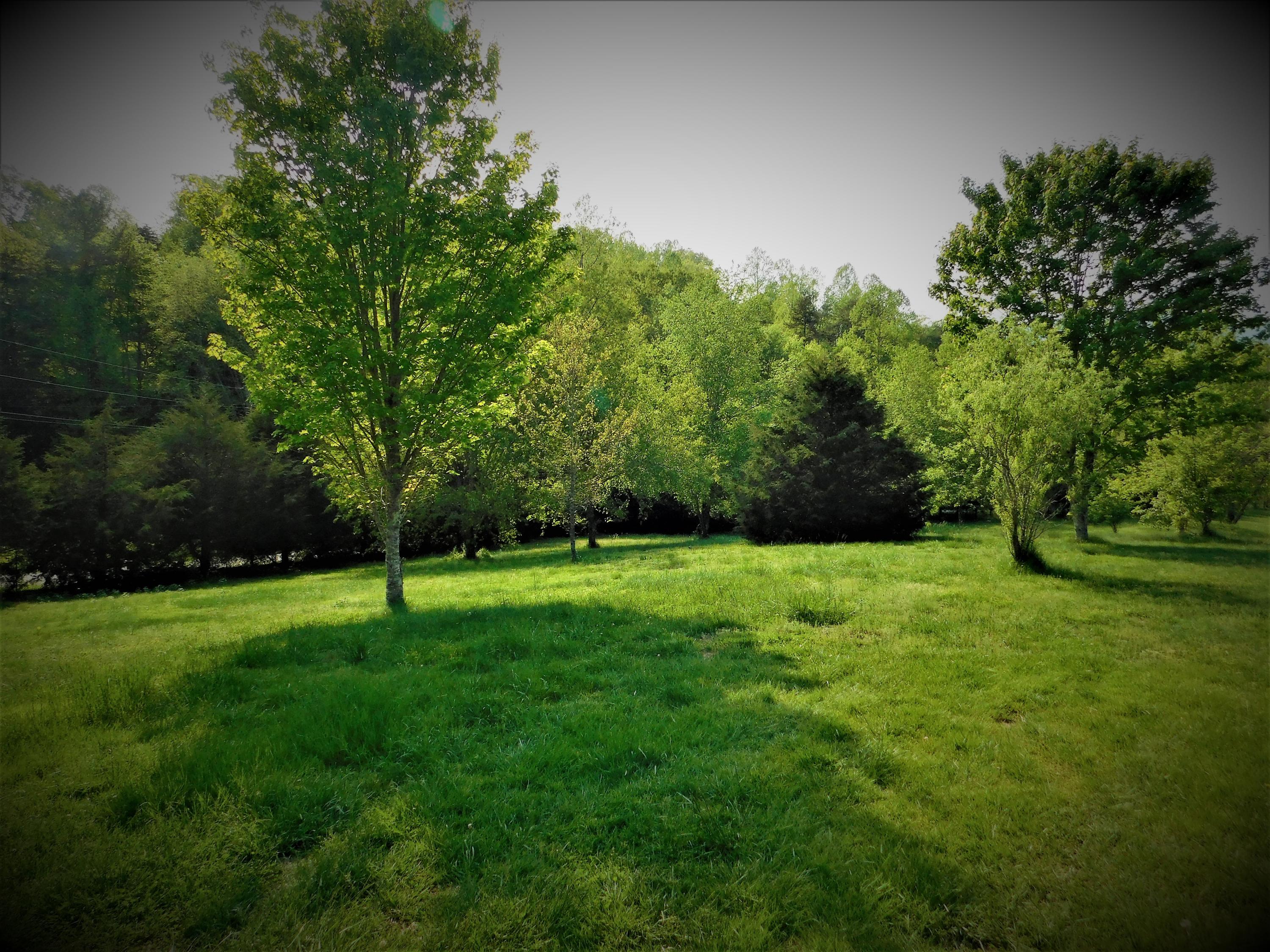 275 Boones Hollow Road Speedwell, TN 37870 - Photo 20 of 34 275 16