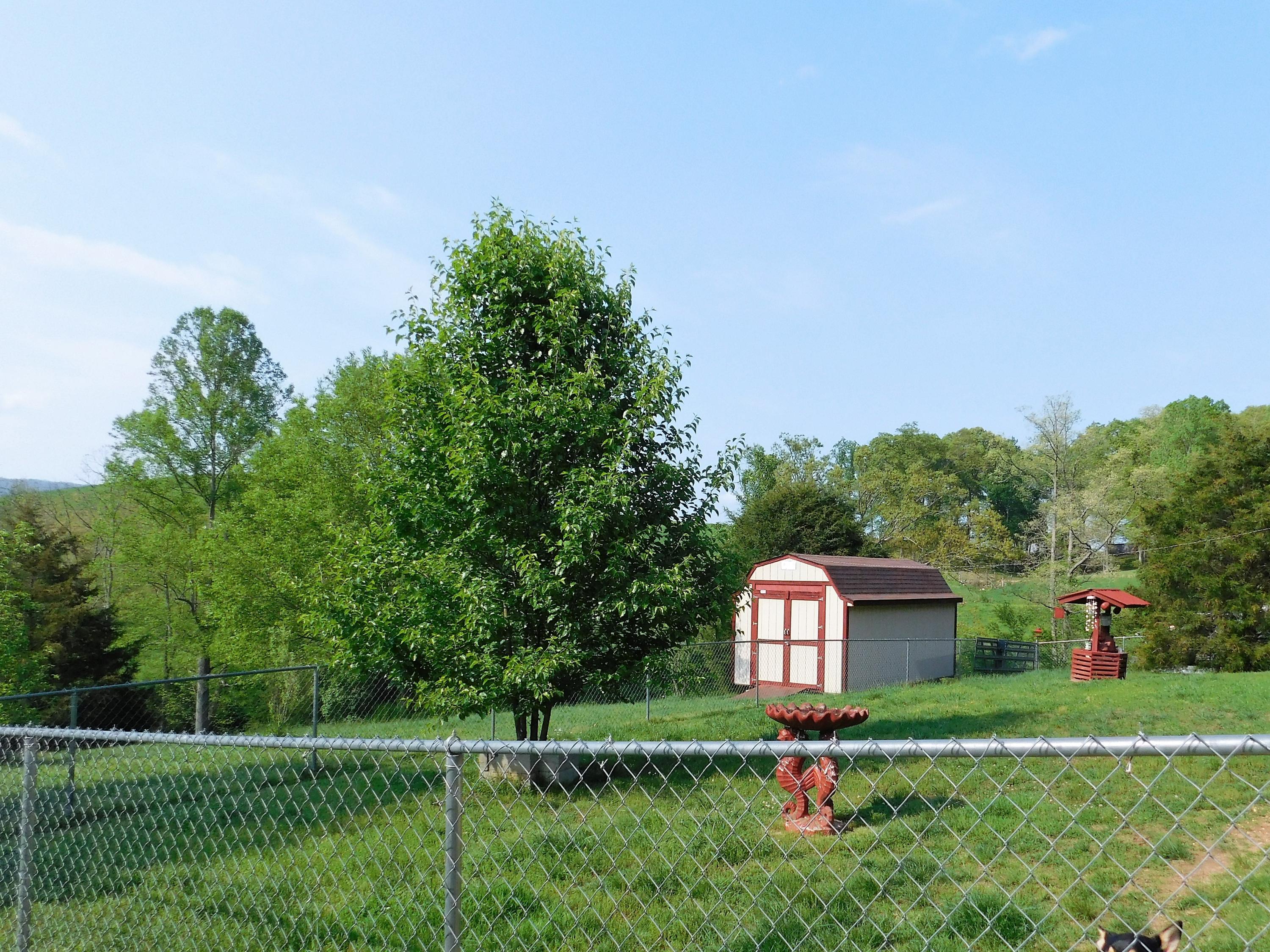 275 Boones Hollow Road Speedwell, TN 37870 - Photo 21 of 34 275 17