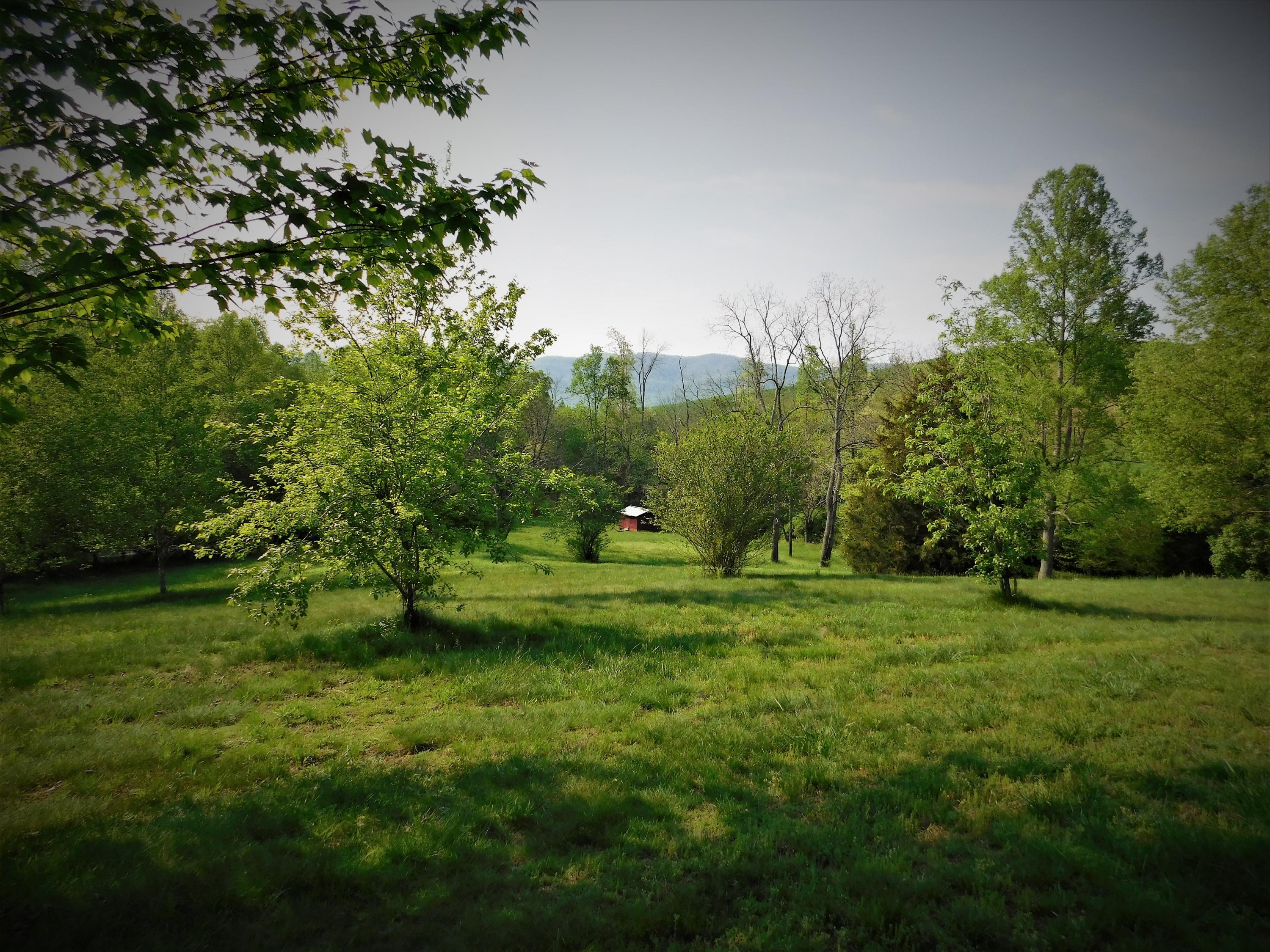 275 Boones Hollow Road Speedwell, TN 37870 - Photo 22 of 34 275 18