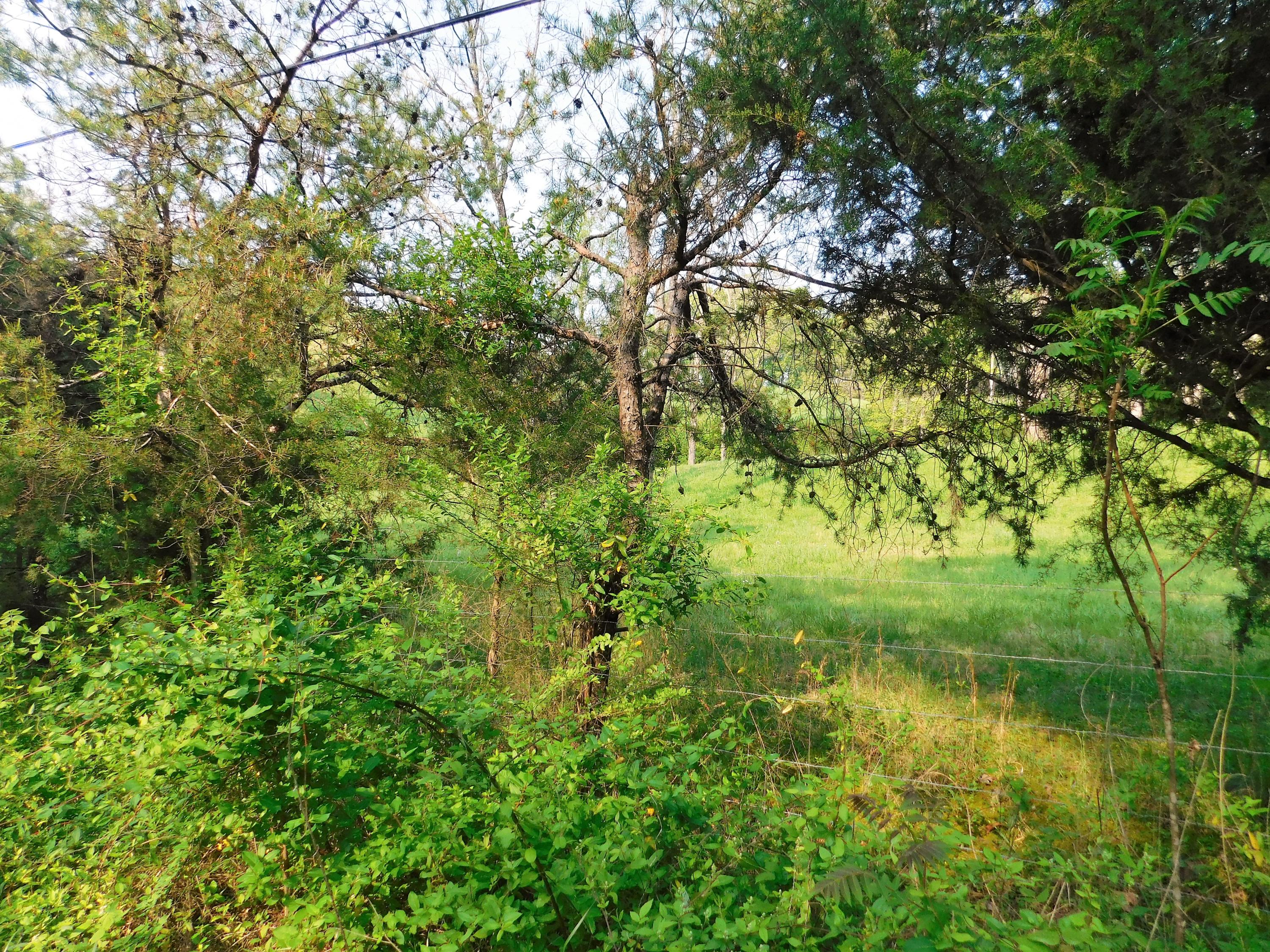 275 Boones Hollow Road Speedwell, TN 37870 - Photo 34 of 34 275 34