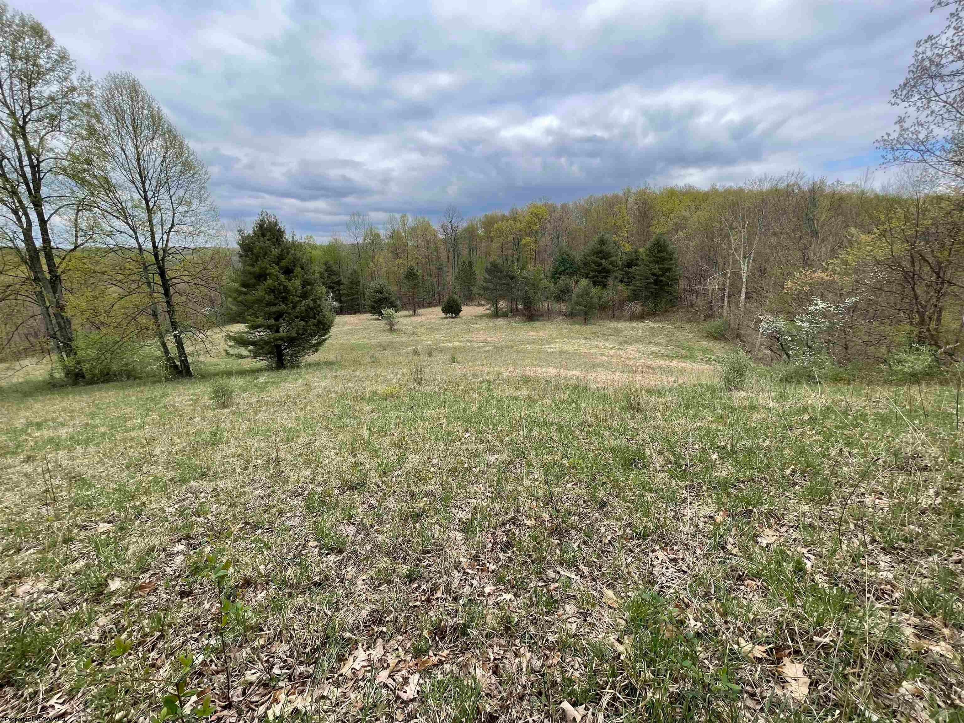2175 Pell Road Kingwood, WV 26537 - Photo 10 of 28 Gallery Image 10