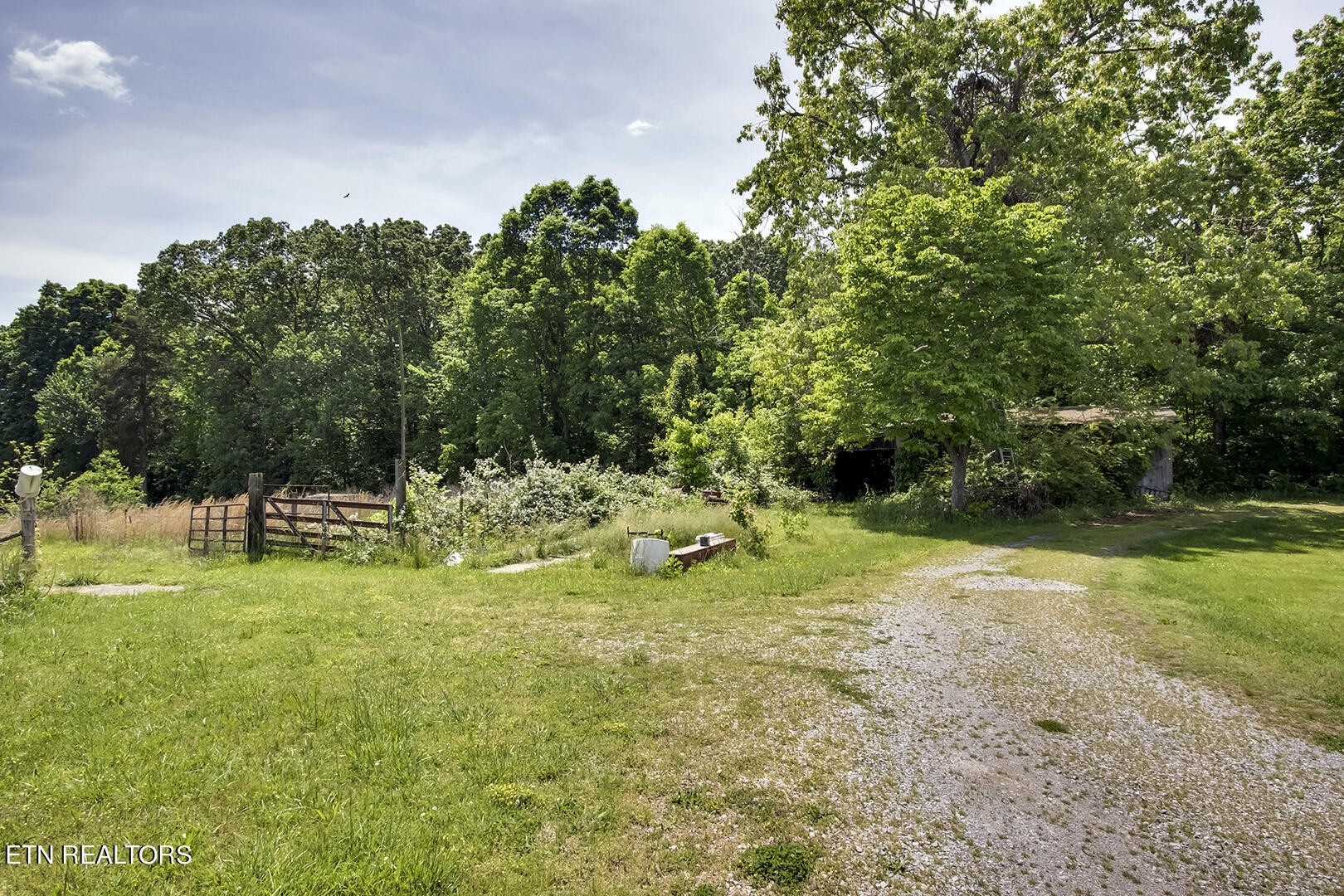 0 Robinson Road Loudon, TN 37774 - Photo 5 of 26 a backyard of a house with swimming pool and trees