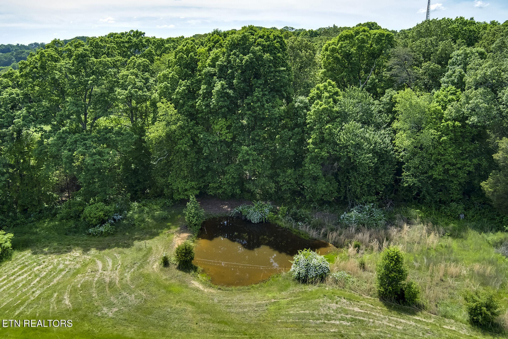 0 Robinson Road Loudon, TN 37774 - Photo 8 of 26 a view of a lake