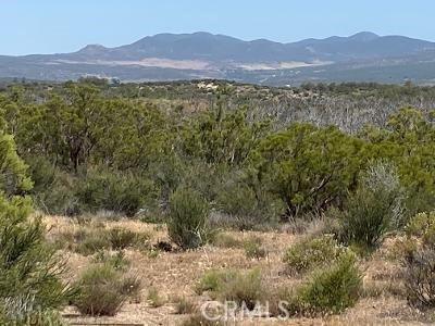 19 Higgins Road Anza, CA 92539 - Photo 6 of 18
