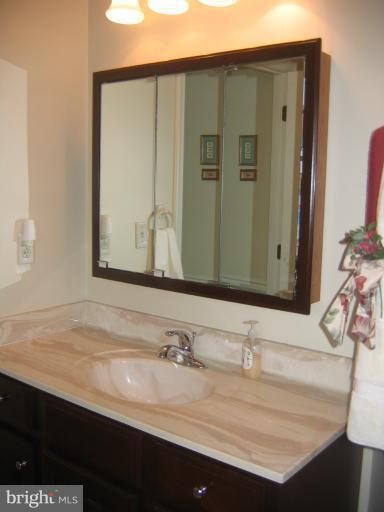9733 Noble Ridge Terrace Gaithersburg, MD 20882 - Photo 14 of 30 Bath (Master)