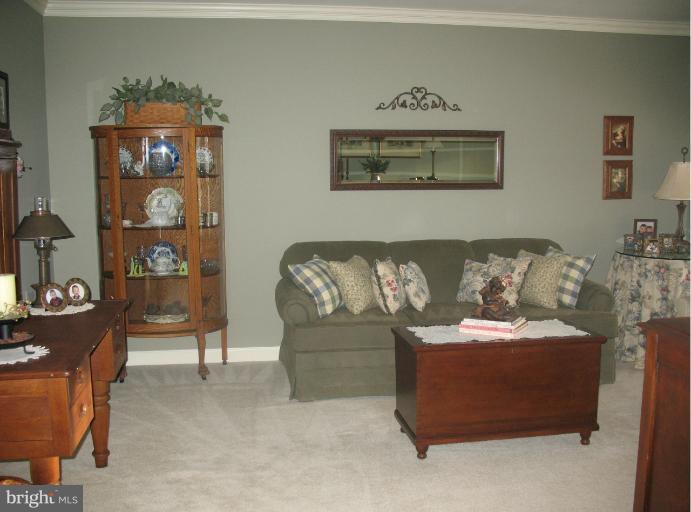 9733 Noble Ridge Terrace Gaithersburg, MD 20882 - Photo 3 of 30 Living Room