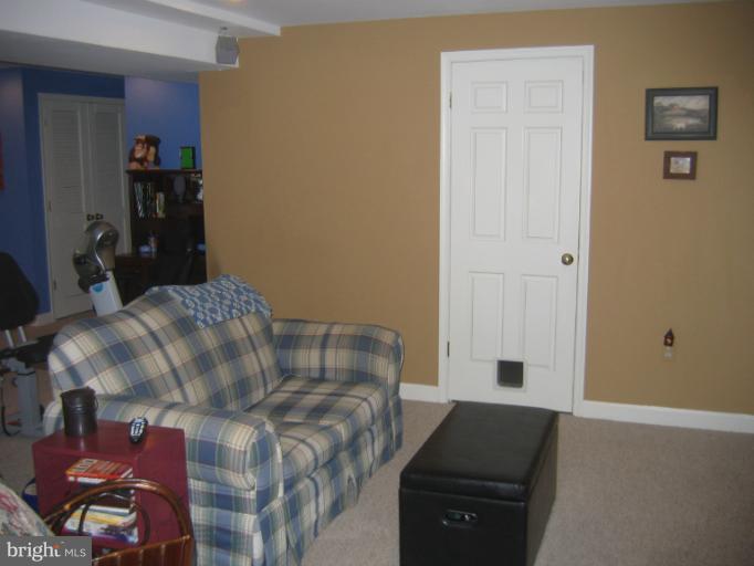 9733 Noble Ridge Terrace Gaithersburg, MD 20882 - Photo 8 of 30 Basement