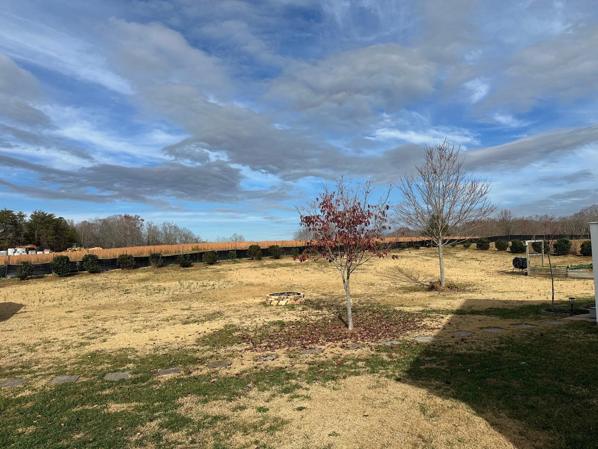 1080 Spivey Creek Road Landrum, SC 29356 - Photo 42 of 48 Gallery Image 42
