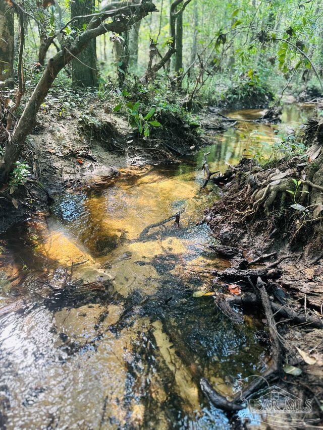 1058 Ironforge Road Cantonment, FL 32533 - Photo 40 of 41