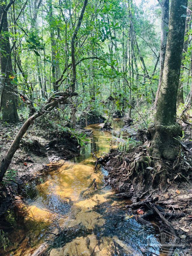 1058 Ironforge Road Cantonment, FL 32533 - Photo 41 of 41