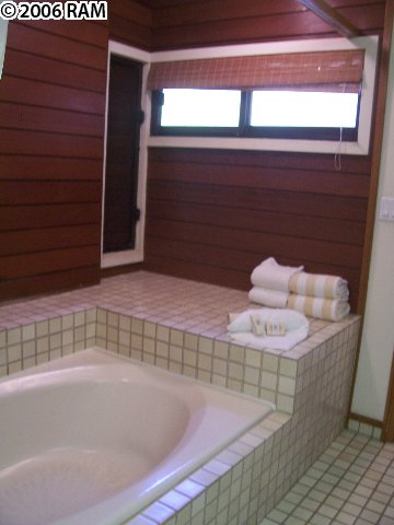 100 Ridge Road, Unit 1721 Lahaina, HI 96761 - Photo 15 of 17 a bathroom with a sink and a bathtub