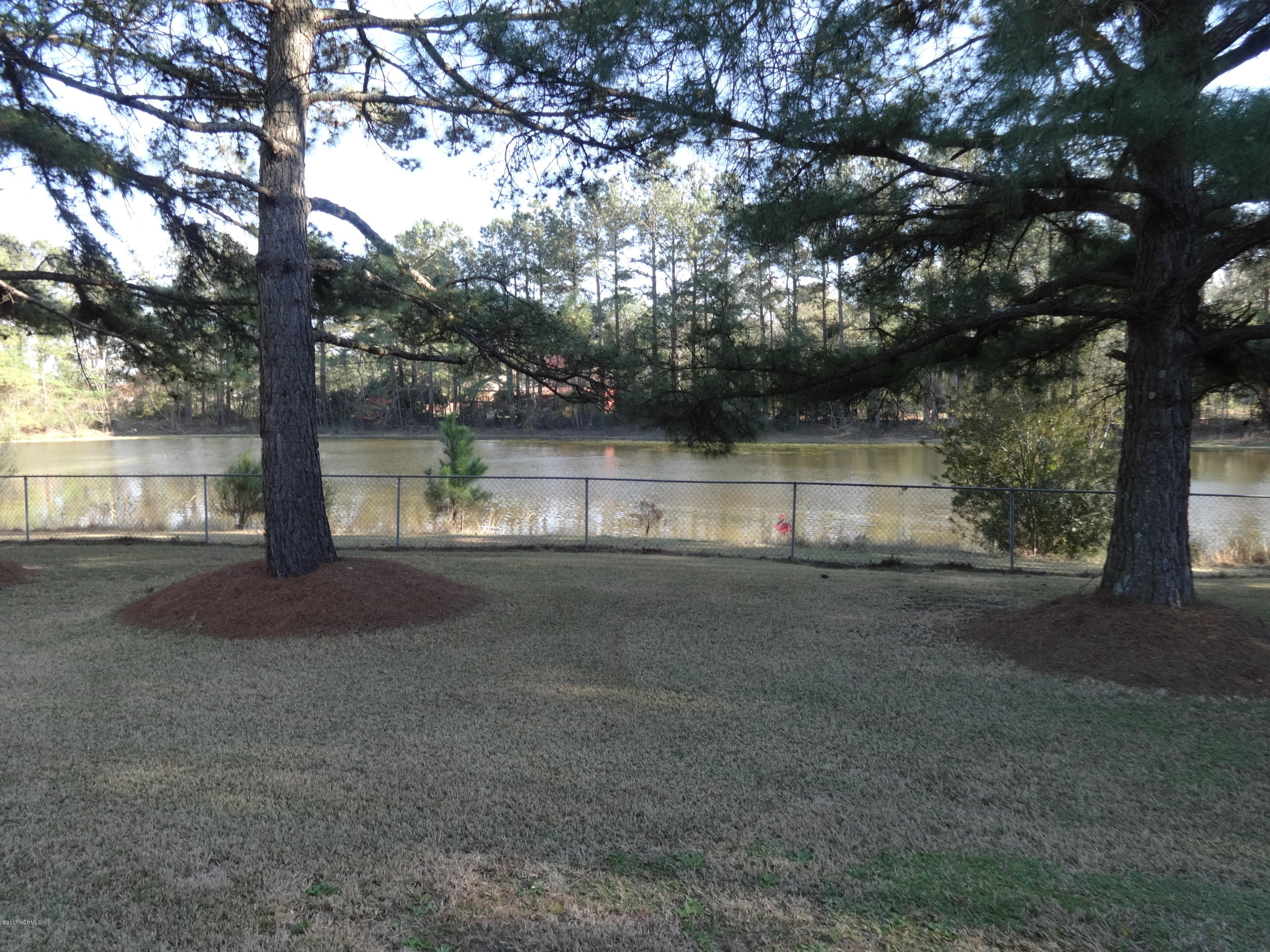 750 Myrtle Road Roseboro, NC 28382 - Photo 11 of 26 DSC01338