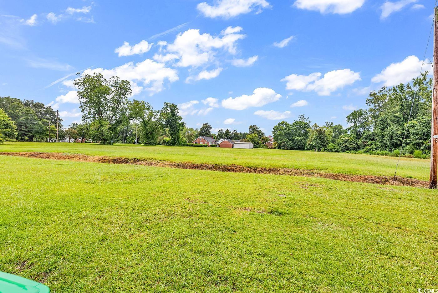 4165 Stevens Street Loris, SC 29569 - Photo 4 of 31