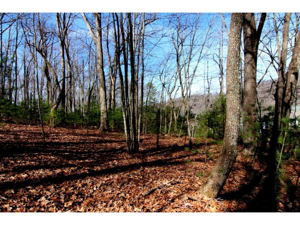 0 Myrtle Drive, Unit 14 Butler, TN 37640 - Photo 1 of 10 106 ACRES MOUNTAIN VIEWS
