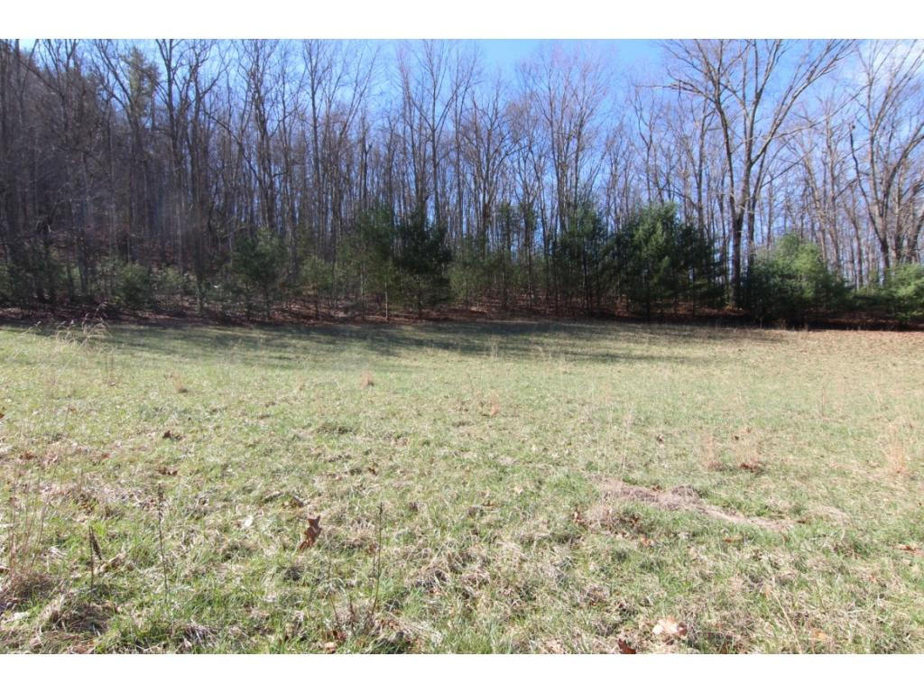 0 Myrtle Drive, Unit 14 Butler, TN 37640 - Photo 2 of 10 PASTURE LAND