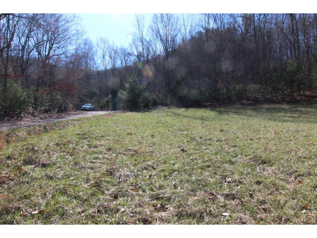 0 Myrtle Drive, Unit 14 Butler, TN 37640 - Photo 3 of 10 LOTS OF TREES FOR PRIVACY