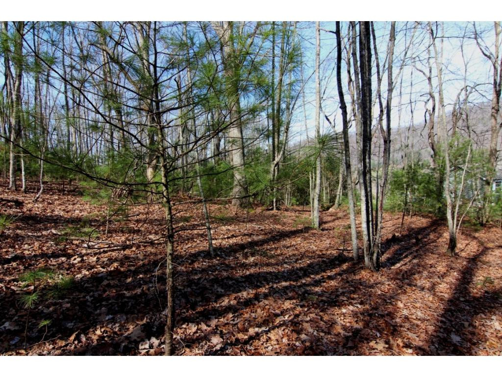 0 Myrtle Drive, Unit 14 Butler, TN 37640 - Photo 5 of 10 GREAT BUILDING SITES