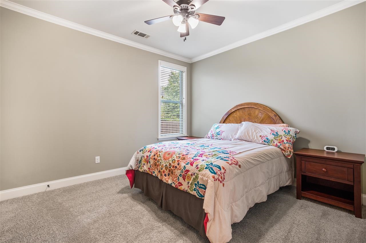 1357 Carmony Street Collierville, TN 38017 - Photo 10 of 16 Carpeted bedroom with ornamental molding and ceiling fan