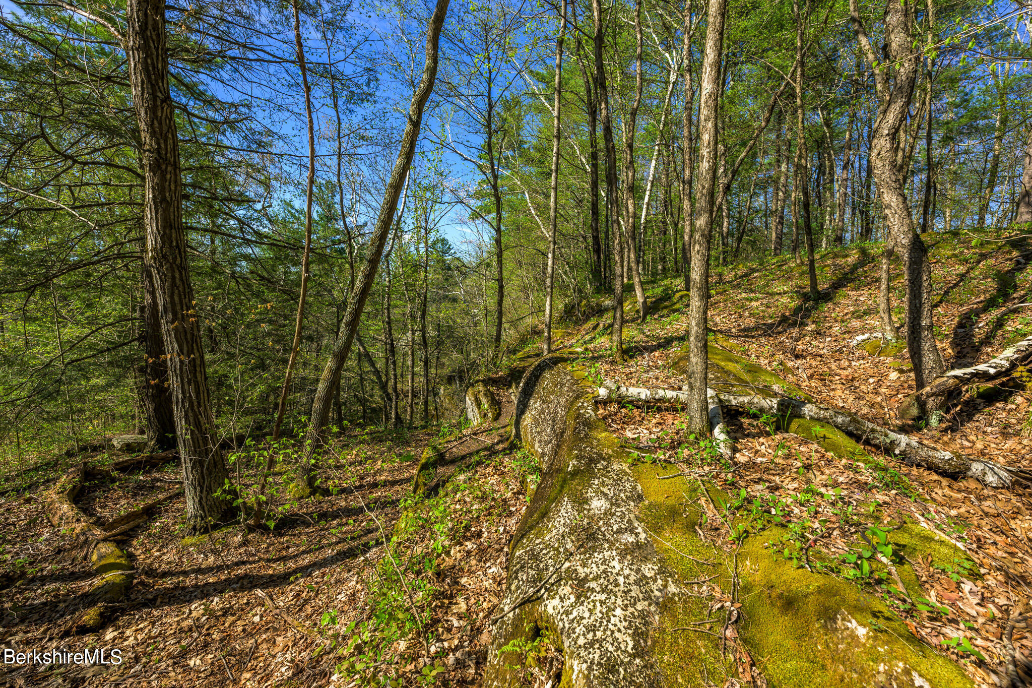 274 E Road Alford, MA 01266 - Photo 24 of 36 Varied topography